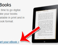 Digital Publishing PLR: Kindle, Nook, Lulu, Power Point